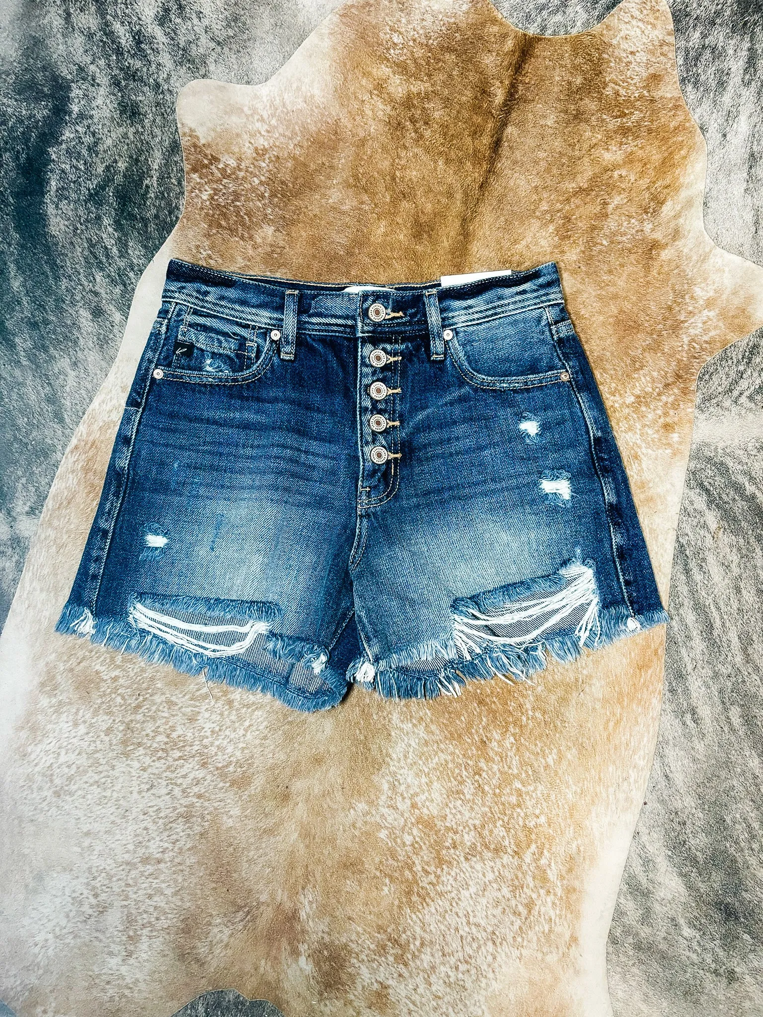 Mary Button Fly Distressed Denim Shorts